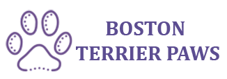 bostonterrierpaws.com