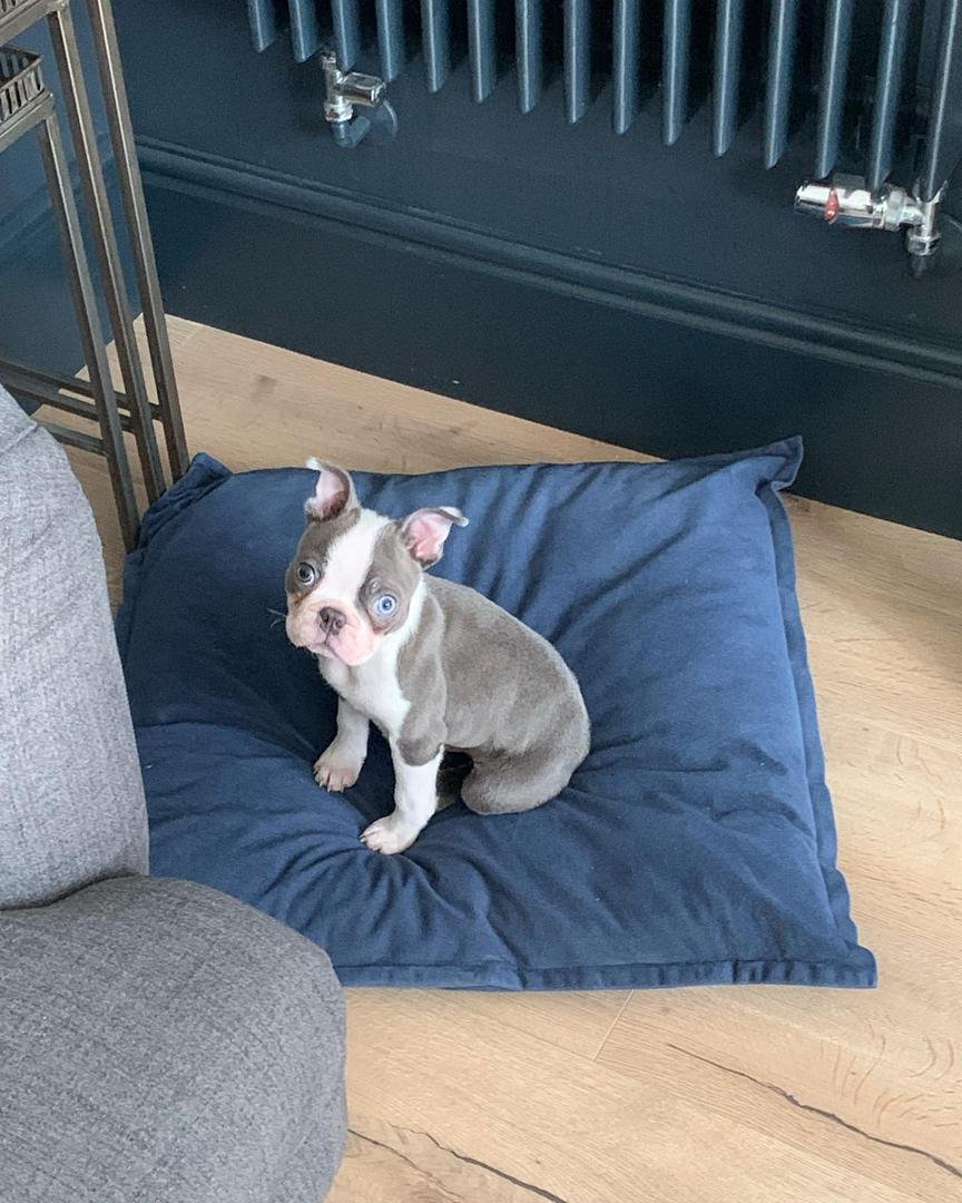 WhatsApp Image 2026-03-04 at 7.39.33 PM (1)