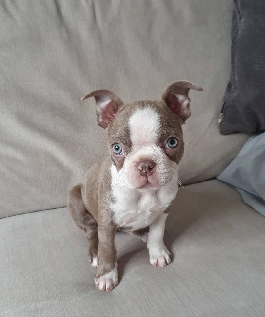 WhatsApp Image 2026-03-04 at 7.39.33 PM