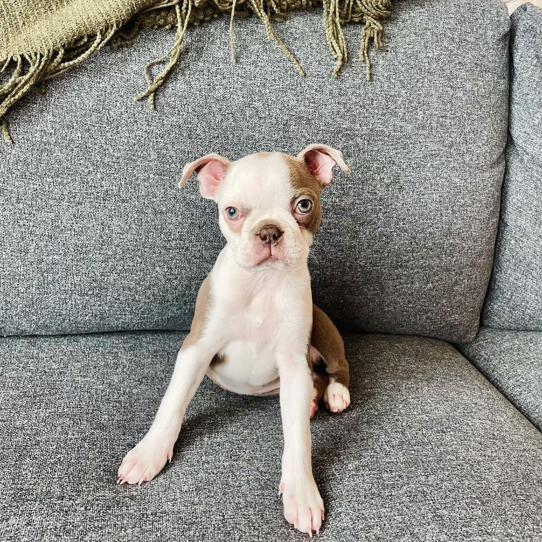 WhatsApp Image 2026-03-04 at 7.39.34 PM (1)