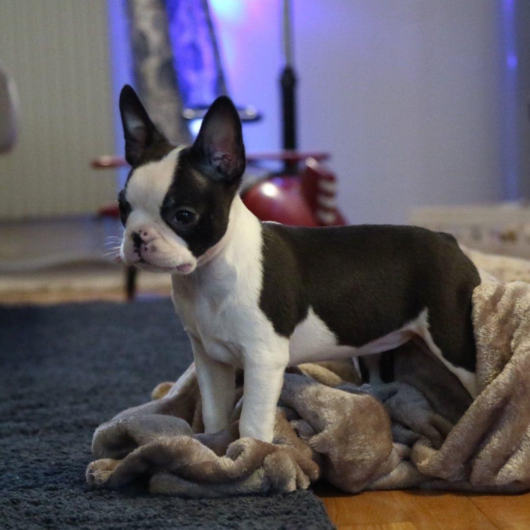 WhatsApp Image 2026-03-04 at 7.39.34 PM (2)