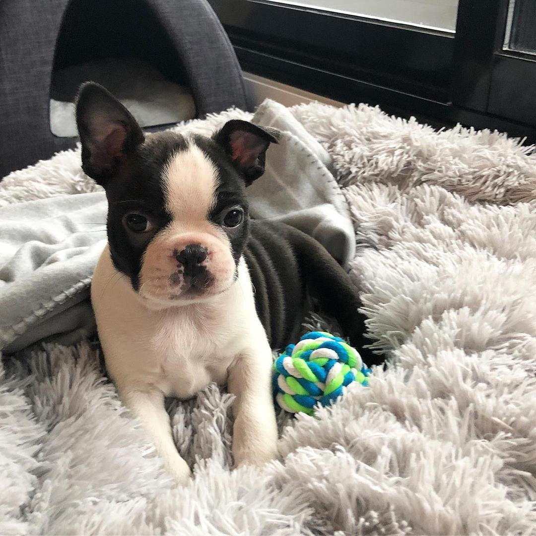 WhatsApp Image 2026-03-04 at 7.39.34 PM (3)