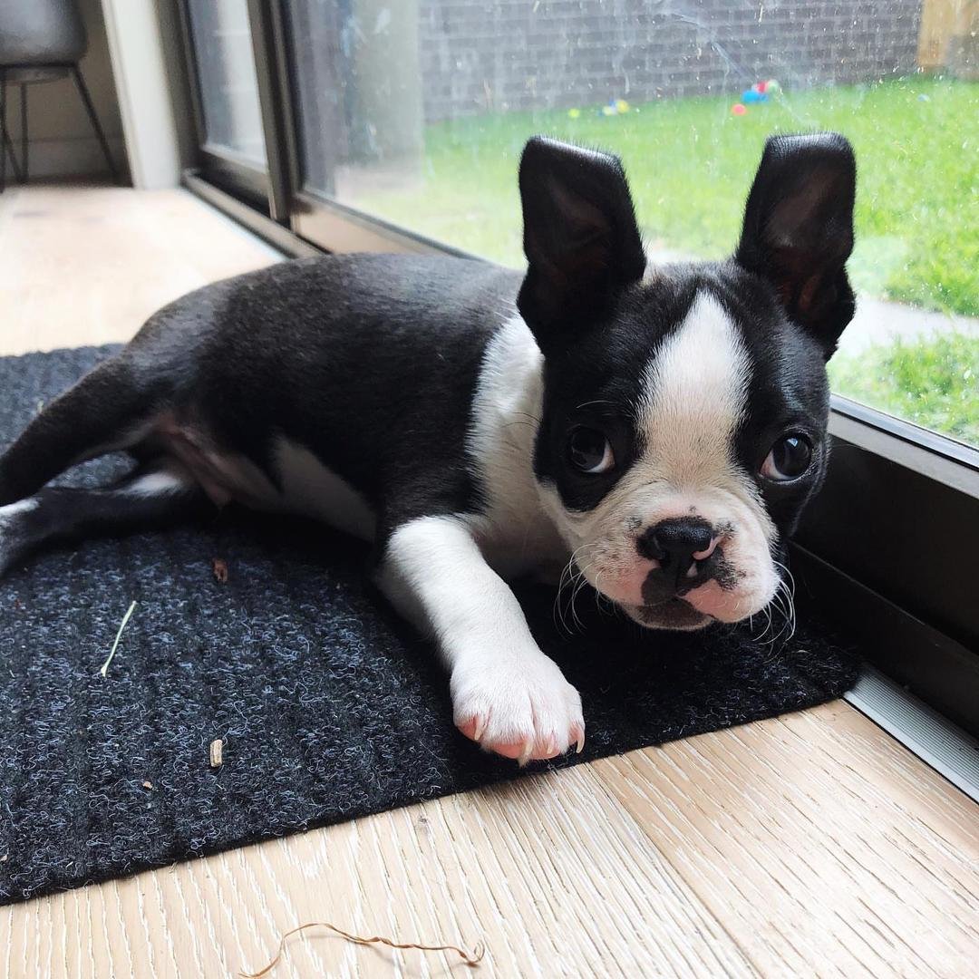 WhatsApp Image 2026-03-04 at 7.39.34 PM (4)