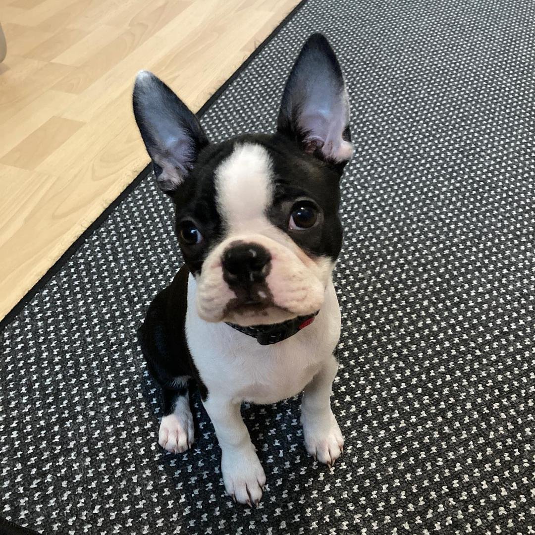 WhatsApp Image 2026-03-04 at 7.39.34 PM