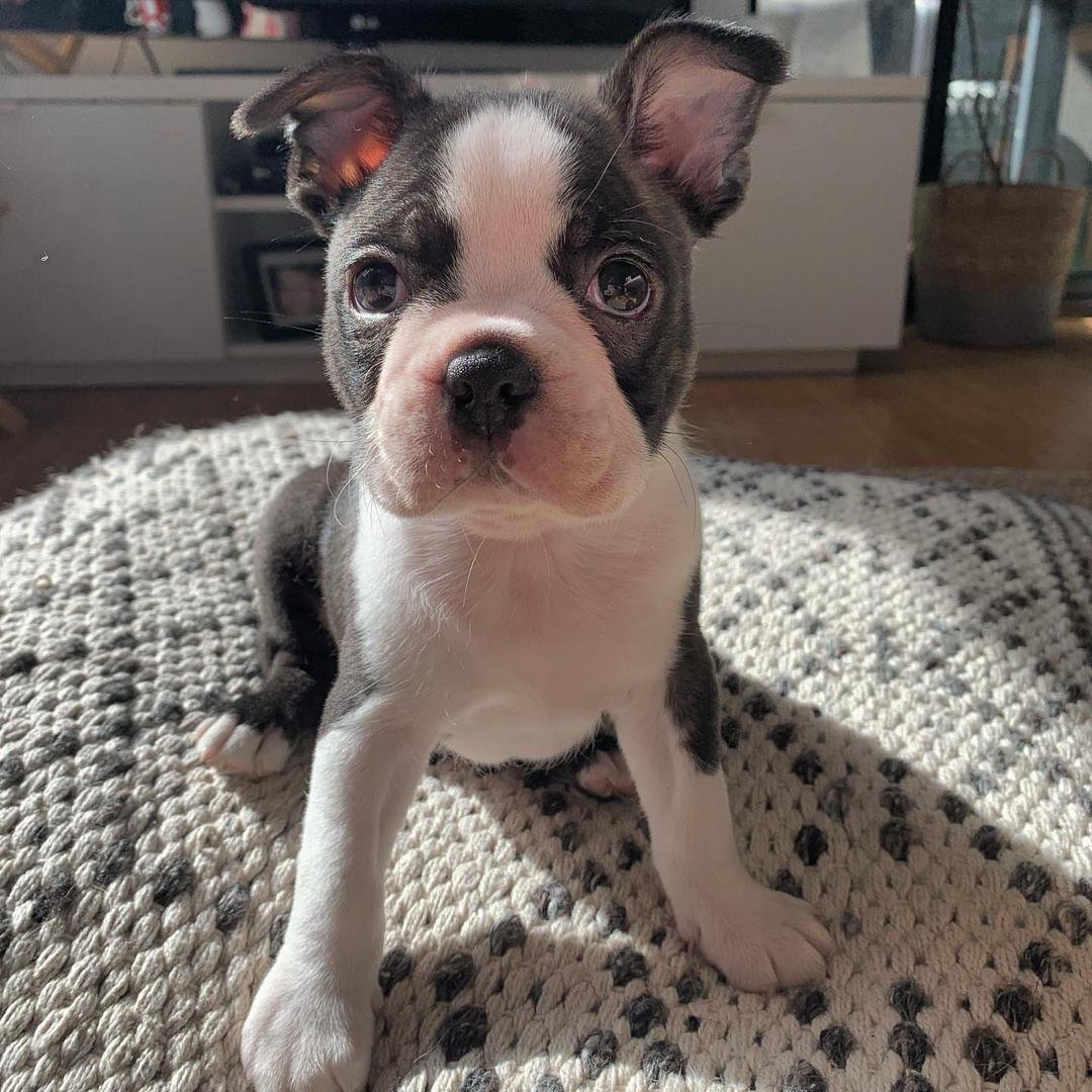 WhatsApp Image 2026-03-04 at 7.39.35 PM (1)