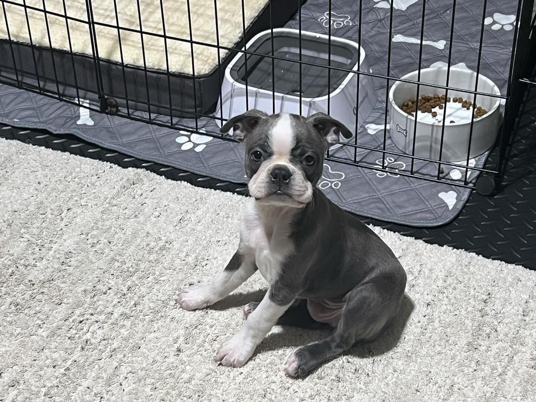 WhatsApp Image 2026-03-04 at 7.39.35 PM (2)