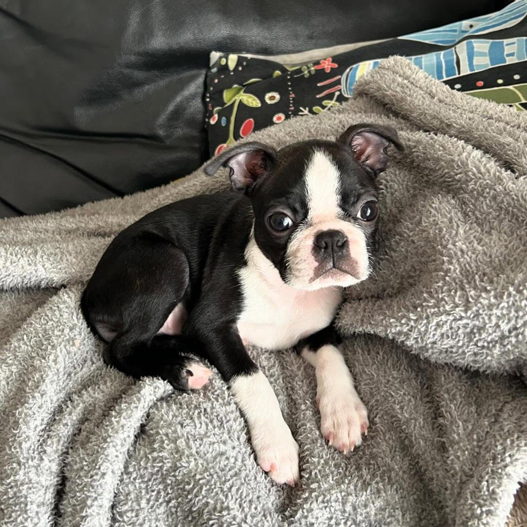 WhatsApp Image 2026-03-04 at 7.39.35 PM (3)