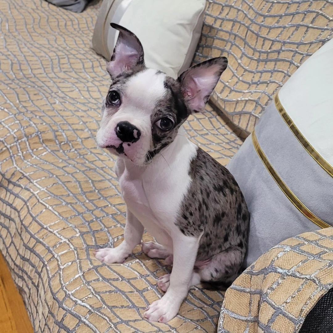 WhatsApp Image 2026-03-04 at 7.39.35 PM (5)