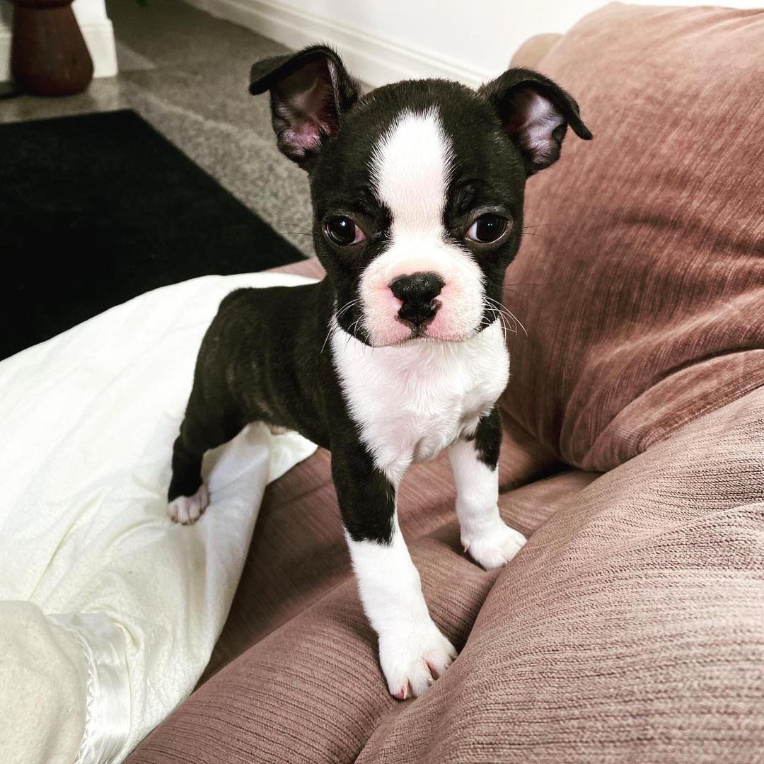 WhatsApp Image 2026-03-04 at 7.39.35 PM