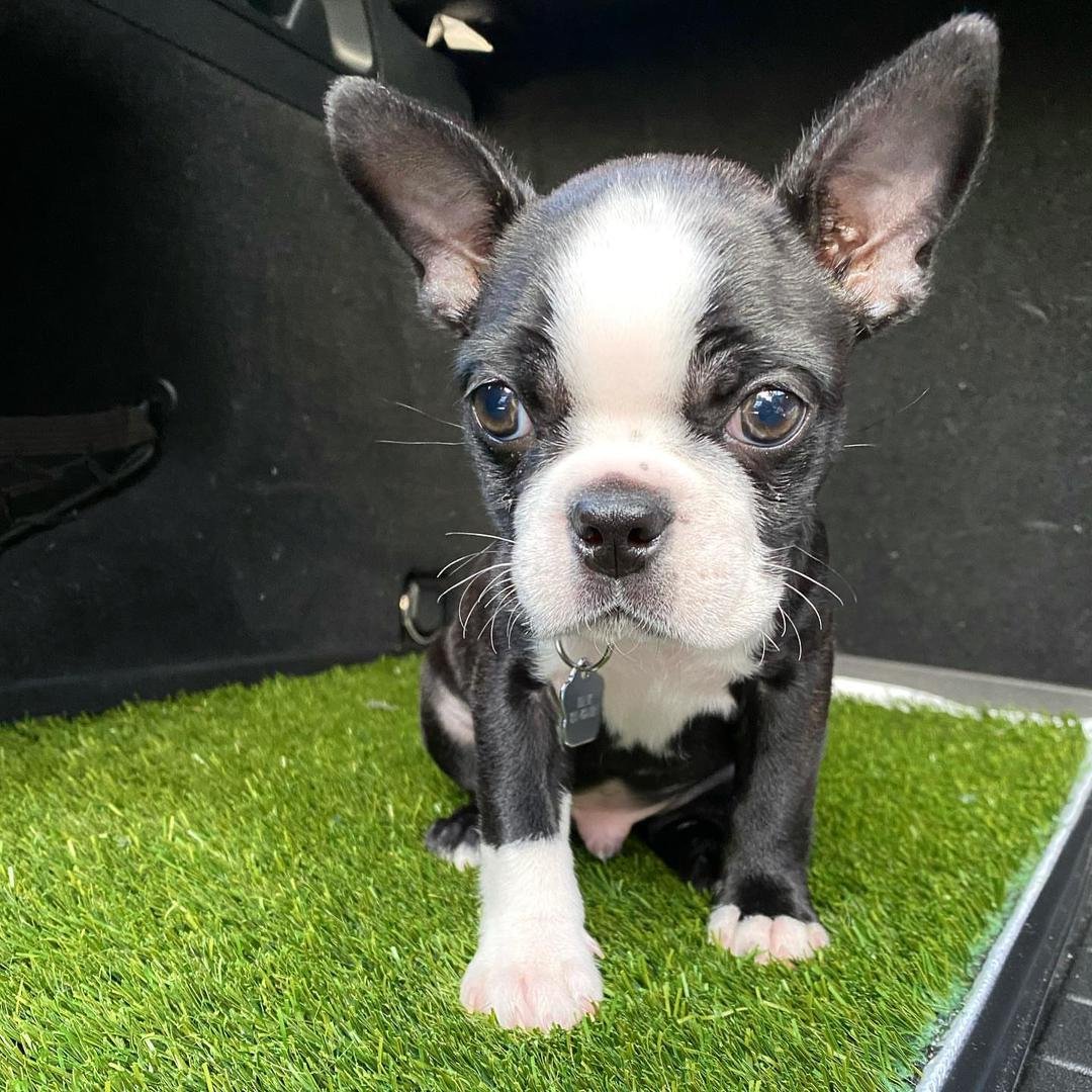 WhatsApp Image 2026-03-04 at 7.39.36 PM (1)