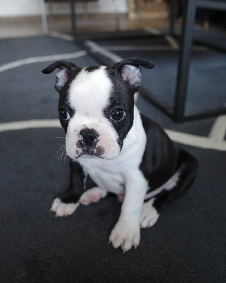 WhatsApp Image 2026-03-04 at 7.39.36 PM